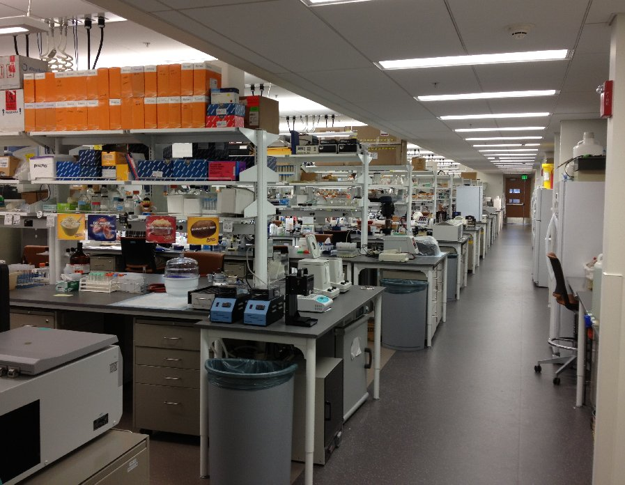 Molecular Analysis Facility